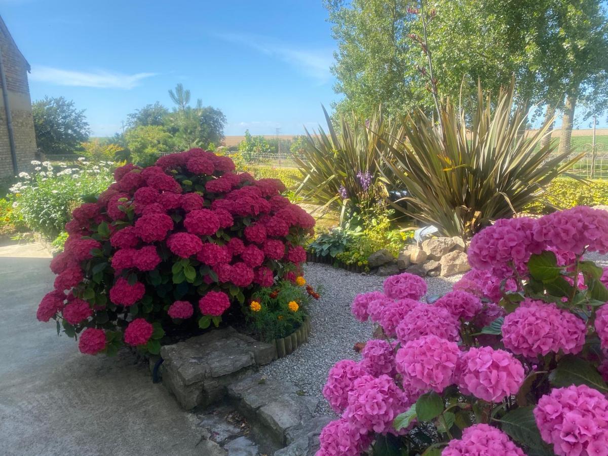 Ferme "Les Flaquettes" Bed & Breakfast Guines Bagian luar foto