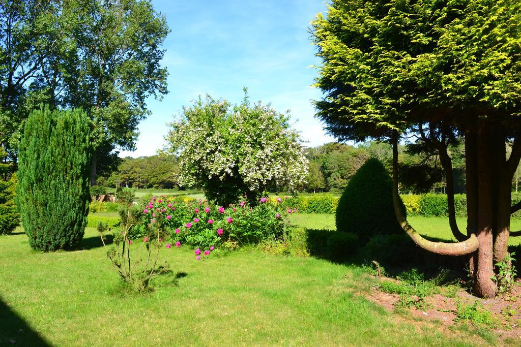 Ferme "Les Flaquettes" Bed & Breakfast Guines Bagian luar foto